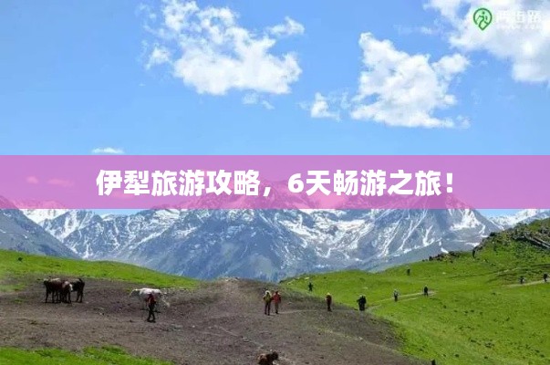 伊犁旅游攻略，6天暢游之旅！