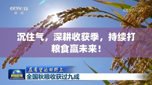 沉住氣，深耕收獲季，持續(xù)打糧食贏未來！