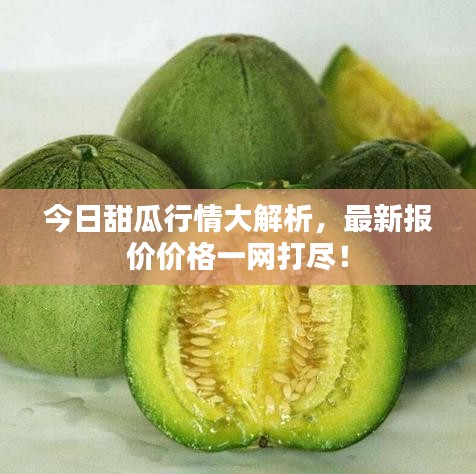 今日甜瓜行情大解析，最新報價價格一網(wǎng)打盡！