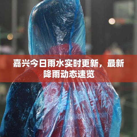 嘉興今日雨水實時更新，最新降雨動態(tài)速覽