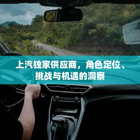 上汽獨(dú)家供應(yīng)商，角色定位、挑戰(zhàn)與機(jī)遇的洞察
