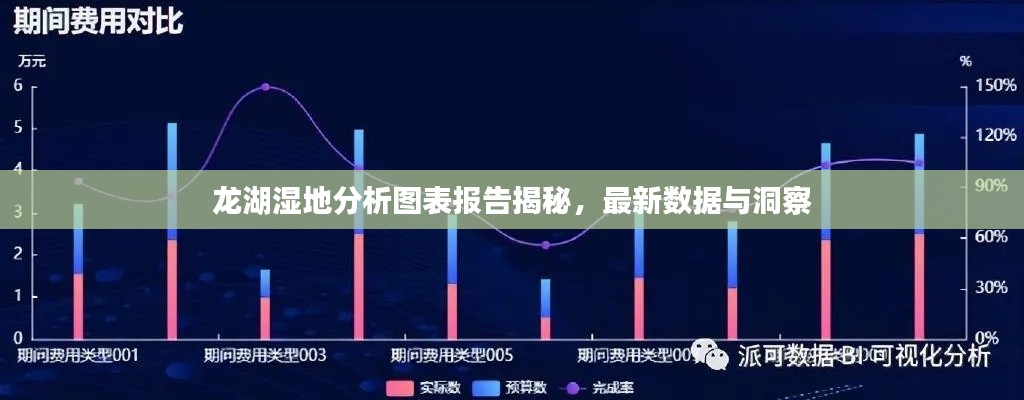 龍湖濕地分析圖表報告揭秘，最新數(shù)據(jù)與洞察