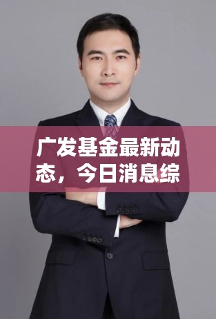 廣發(fā)基金最新動態(tài)，今日消息綜述全解析