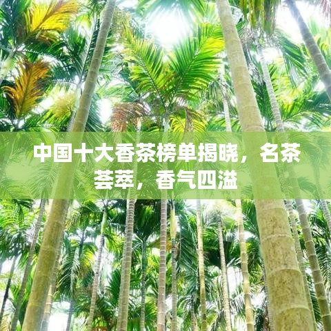 中國十大香茶榜單揭曉，名茶薈萃，香氣四溢