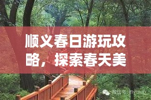 順義春日游玩攻略，探索春天美景，盡享愜意時(shí)光！