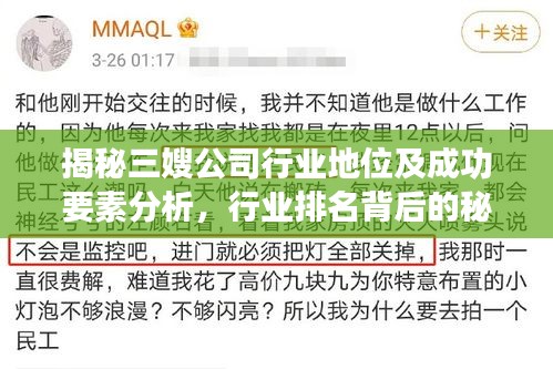 揭秘三嫂公司行業(yè)地位及成功要素分析，行業(yè)排名背后的秘密！