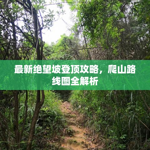 最新絕望坡登頂攻略，爬山路線圖全解析