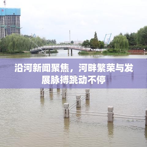 沿河新聞聚焦，河畔繁榮與發(fā)展脈搏跳動(dòng)不停