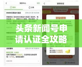 頭條新聞號申請認證全攻略，步驟詳解，輕松上手！
