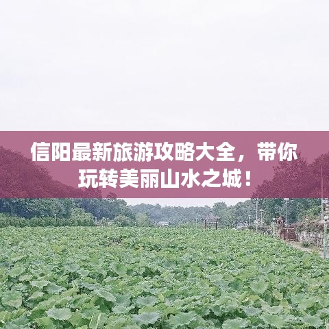 信陽最新旅游攻略大全，帶你玩轉(zhuǎn)美麗山水之城！