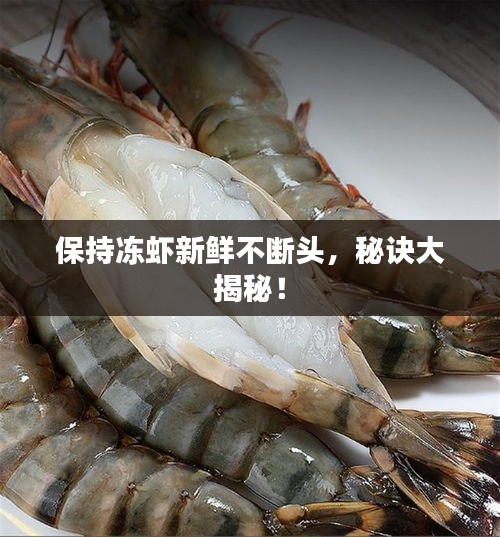 保持凍蝦新鮮不斷頭，秘訣大揭秘！