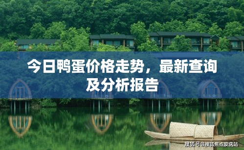 今日鴨蛋價格走勢，最新查詢及分析報告
