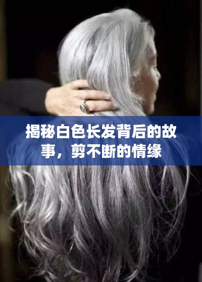 揭秘白色長(zhǎng)發(fā)背后的故事，剪不斷的情緣