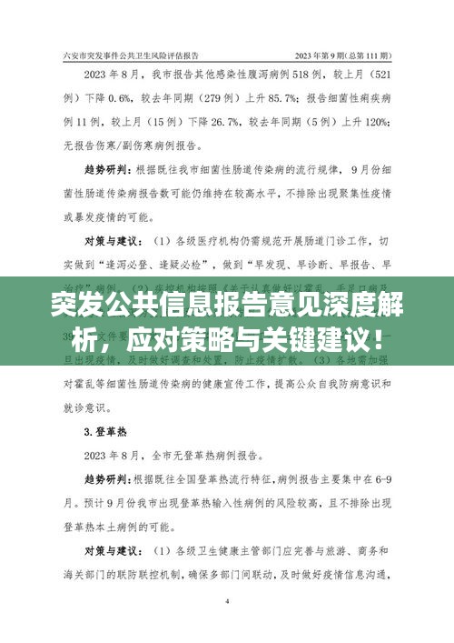 突發(fā)公共信息報(bào)告意見深度解析，應(yīng)對(duì)策略與關(guān)鍵建議！