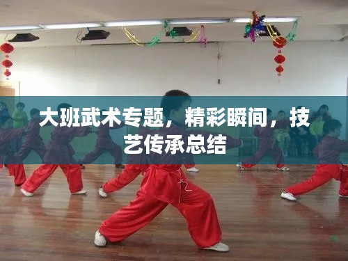 大班武術(shù)專題，精彩瞬間，技藝傳承總結(jié)