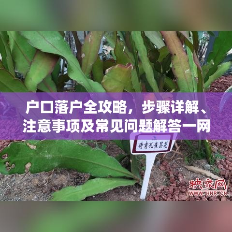 戶(hù)口落戶(hù)全攻略，步驟詳解、注意事項(xiàng)及常見(jiàn)問(wèn)題解答一網(wǎng)打盡！