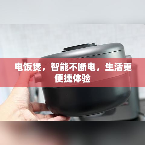 電飯煲，智能不斷電，生活更便捷體驗(yàn)