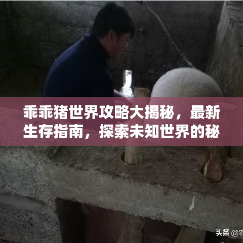 乖乖豬世界攻略大揭秘，最新生存指南，探索未知世界的秘訣