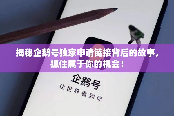 揭秘企鵝號獨家申請鏈接背后的故事，抓住屬于你的機會！