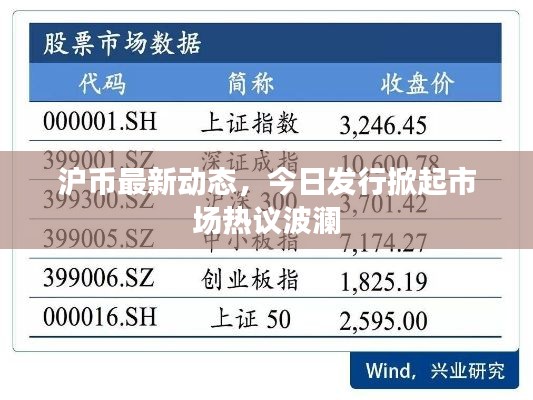 滬幣最新動態(tài)，今日發(fā)行掀起市場熱議波瀾
