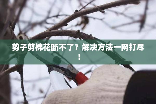 剪子剪棉花斷不了？解決方法一網(wǎng)打盡！