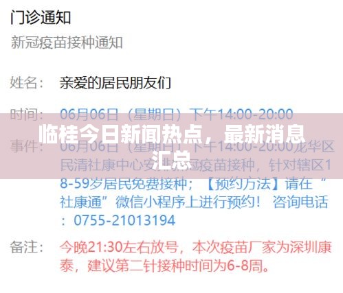 臨桂今日新聞熱點(diǎn)，最新消息匯總