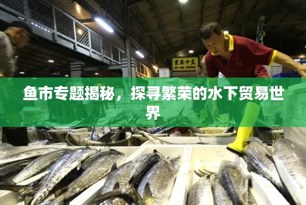 魚市專題揭秘，探尋繁榮的水下貿(mào)易世界
