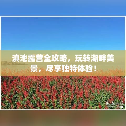 從容就義 第2頁