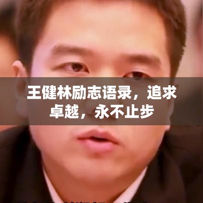 王健林勵志語錄，追求卓越，永不止步