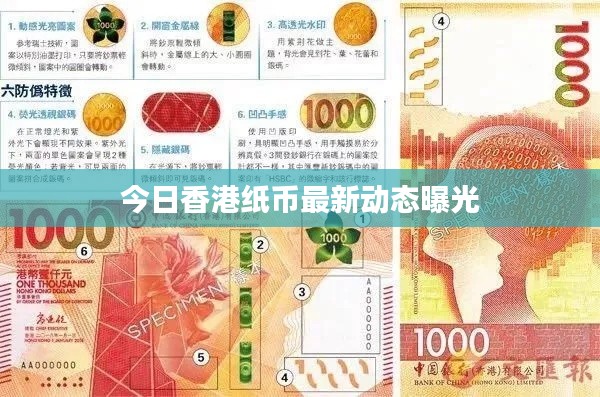 今日香港紙幣最新動(dòng)態(tài)曝光