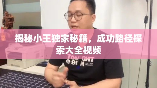 揭秘小王獨(dú)家秘籍，成功路徑探索大全視頻