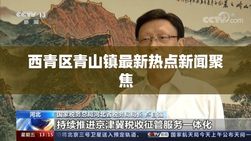 西青區(qū)青山鎮(zhèn)最新熱點新聞聚焦