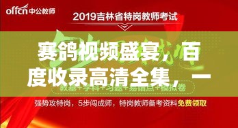 賽鴿視頻盛宴，百度收錄高清全集，一睹為快！