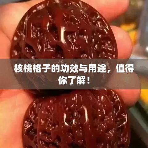 核桃格子的功效與用途，值得你了解！