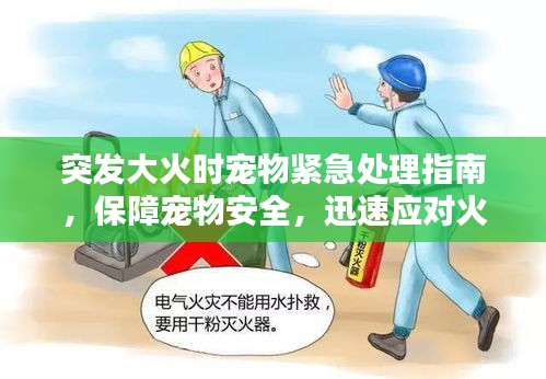 突發(fā)大火時(shí)寵物緊急處理指南，保障寵物安全，迅速應(yīng)對(duì)火災(zāi)！