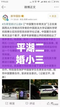 平湖二婚小三被害案最新進(jìn)展揭秘，案件進(jìn)展令人震驚！