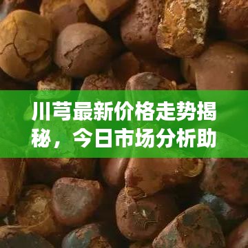 川芎最新價格走勢揭秘，今日市場分析助你洞悉行情變化！
