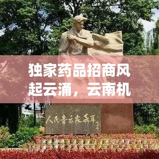 獨(dú)家藥品招商風(fēng)起云涌，云南機(jī)遇挑戰(zhàn)并存，醫(yī)藥市場(chǎng)新風(fēng)向