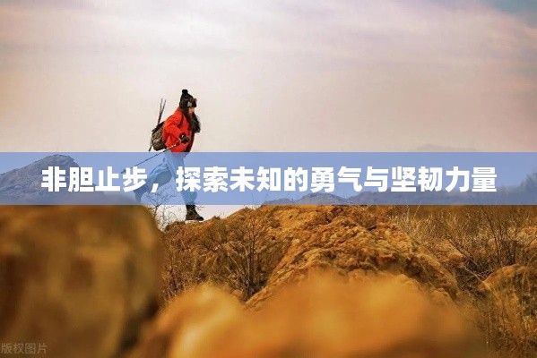 非膽止步，探索未知的勇氣與堅(jiān)韌力量