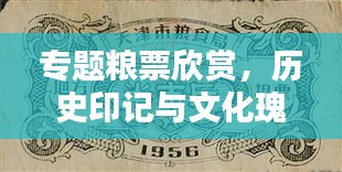 專題糧票欣賞，歷史印記與文化瑰寶的獨特魅力