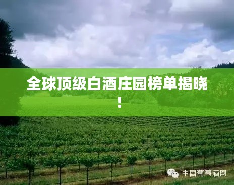 全球頂級白酒莊園榜單揭曉！