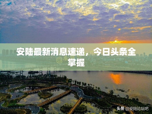 安陸最新消息速遞，今日頭條全掌握