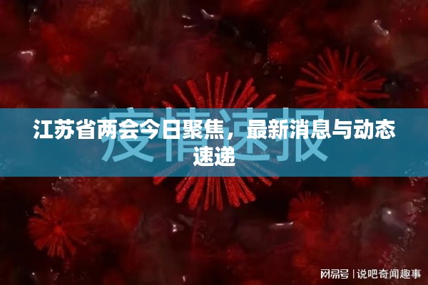 江蘇省兩會今日聚焦，最新消息與動態(tài)速遞