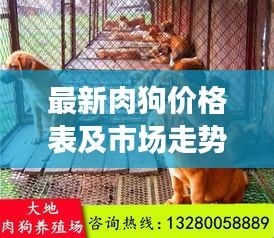 最新肉狗價(jià)格表及市場走勢分析，多重因素揭秘價(jià)格浮動(dòng)原因