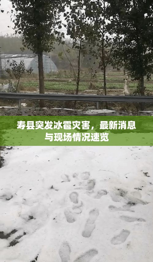 壽縣突發(fā)冰雹災害，最新消息與現(xiàn)場情況速覽