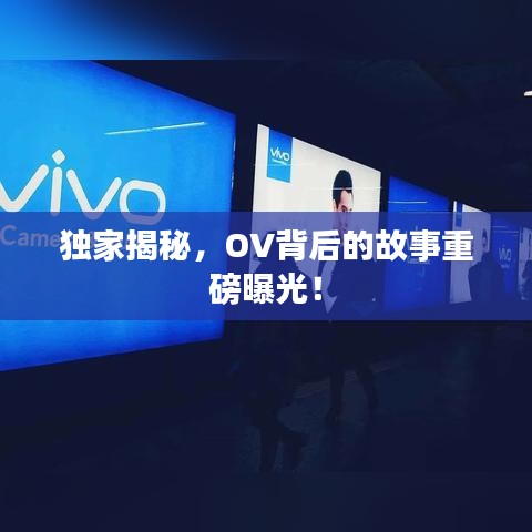 獨(dú)家揭秘，OV背后的故事重磅曝光！