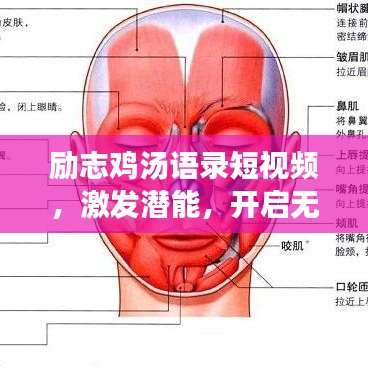 勵志雞湯語錄短視頻，激發(fā)潛能，開啟無限力量之源