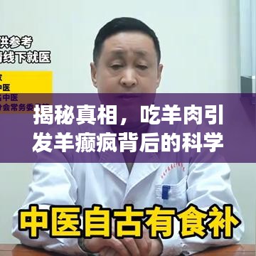揭秘真相，吃羊肉引發(fā)羊癲瘋背后的科學(xué)解讀