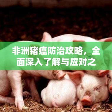非洲豬瘟防治攻略，全面深入了解與應(yīng)對之道