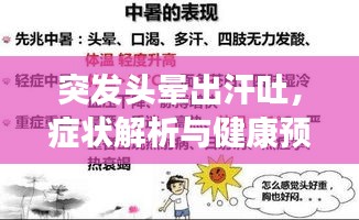 突發(fā)頭暈出汗吐，癥狀解析與健康預警提示